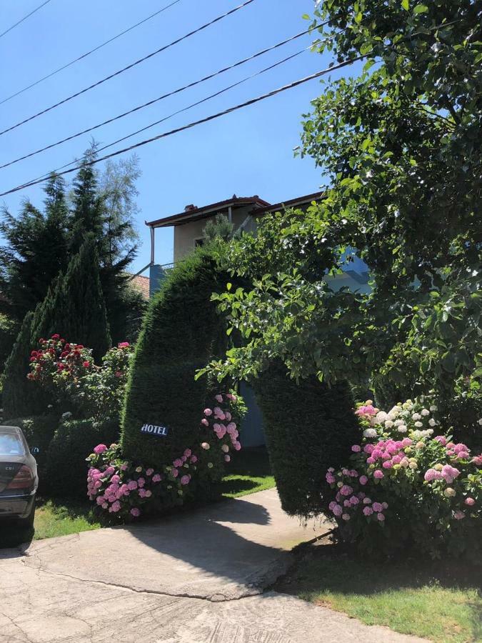 Vila Deni Tushemisht Kültér fotó