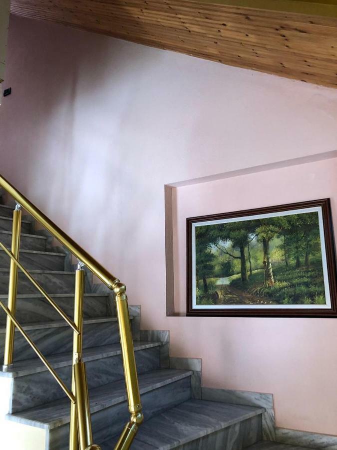 Vila Deni Tushemisht Kültér fotó